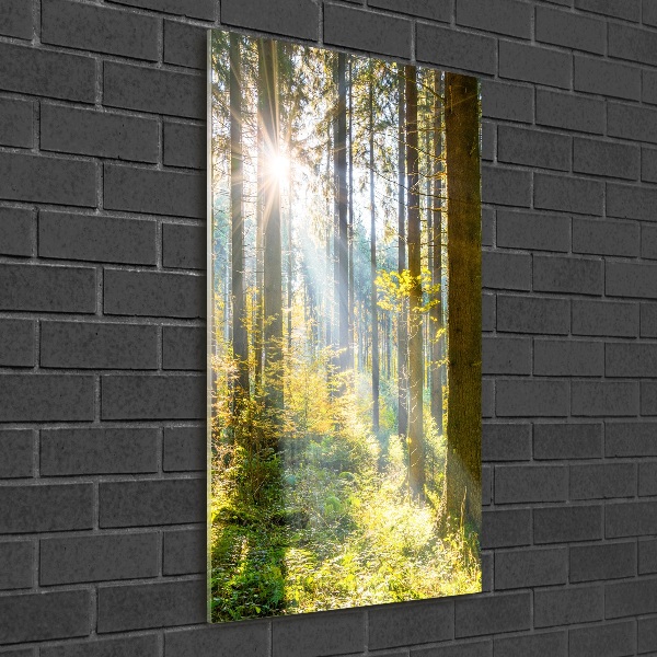 Quadro in vetro acrilico verticale Il sole nella foresta