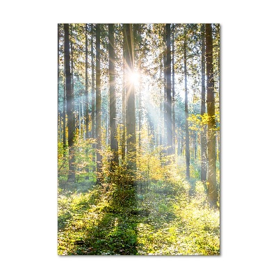 Quadro in vetro acrilico verticale Il sole nella foresta