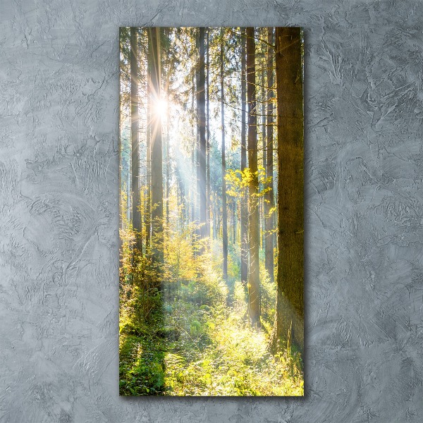 Quadro in vetro acrilico verticale Il sole nella foresta