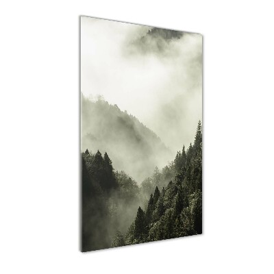 Quadro acrilico verticale Nebbia sulla foresta
