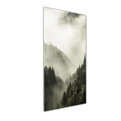 Quadro acrilico verticale Nebbia sulla foresta