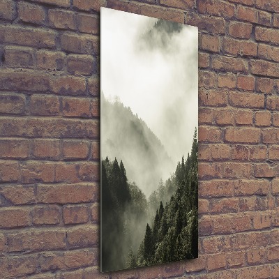 Quadro acrilico verticale Nebbia sulla foresta