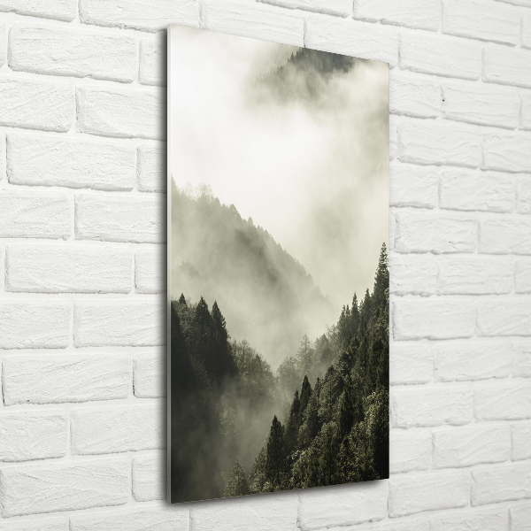 Quadro acrilico verticale Nebbia sulla foresta
