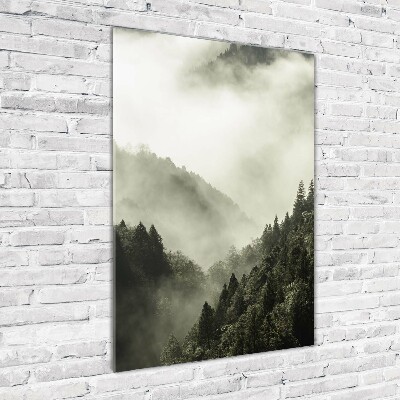 Quadro acrilico verticale Nebbia sulla foresta