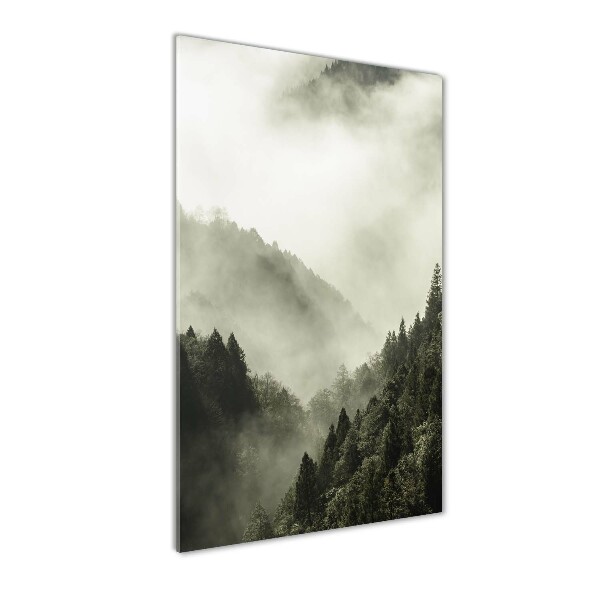 Quadro acrilico verticale Nebbia sulla foresta