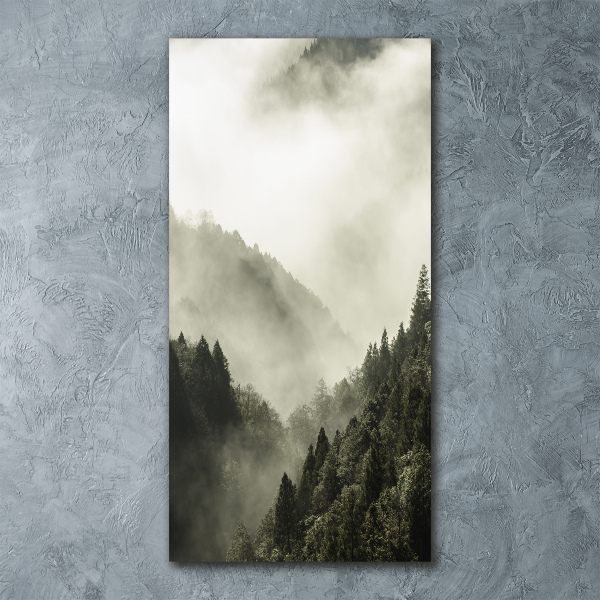 Quadro acrilico verticale Nebbia sulla foresta