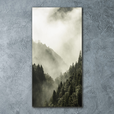 Quadro acrilico verticale Nebbia sulla foresta