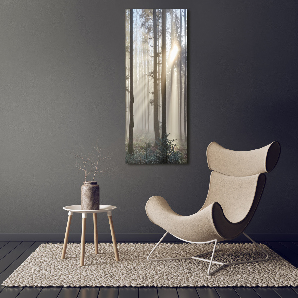 Quadro in vetro acrilico verticale Nebbia nella foresta