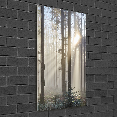 Quadro in vetro acrilico verticale Nebbia nella foresta