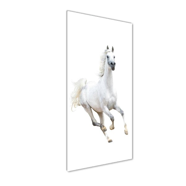 Quadro in vetro acrilico verticale Un cavallo bianco al galoppo