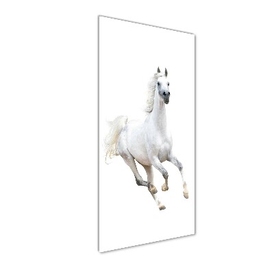 Quadro in vetro acrilico verticale Un cavallo bianco al galoppo