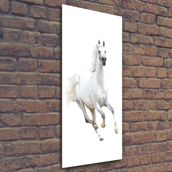 Quadro in vetro acrilico verticale Un cavallo bianco al galoppo