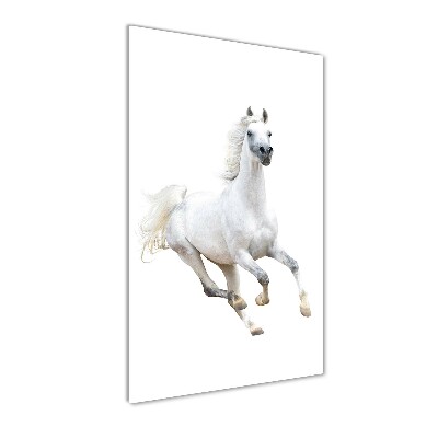 Quadro in vetro acrilico verticale Un cavallo bianco al galoppo