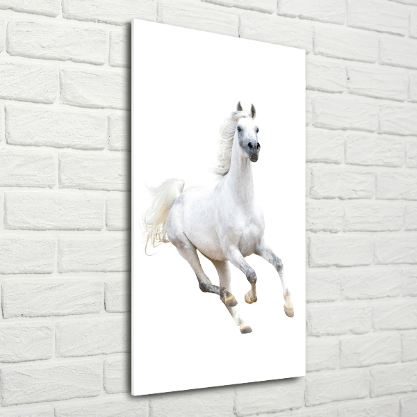 Quadro in vetro acrilico verticale Un cavallo bianco al galoppo