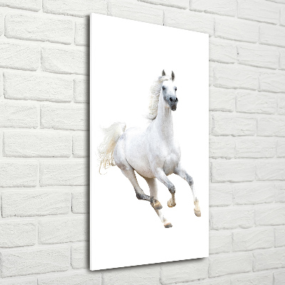 Quadro in vetro acrilico verticale Un cavallo bianco al galoppo