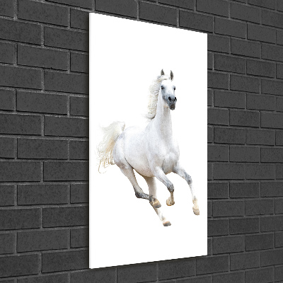 Quadro in vetro acrilico verticale Un cavallo bianco al galoppo