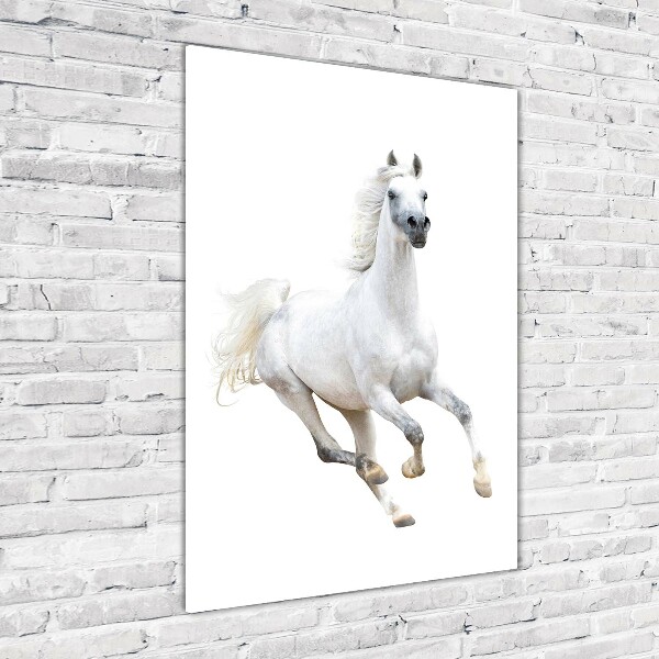 Quadro in vetro acrilico verticale Un cavallo bianco al galoppo