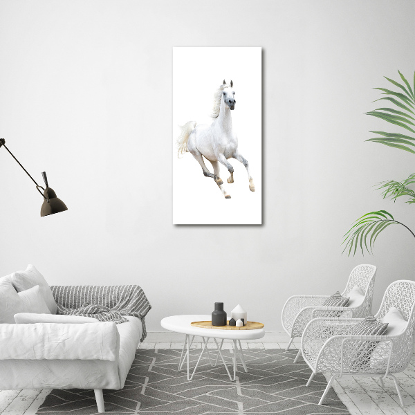 Quadro in vetro acrilico verticale Un cavallo bianco al galoppo
