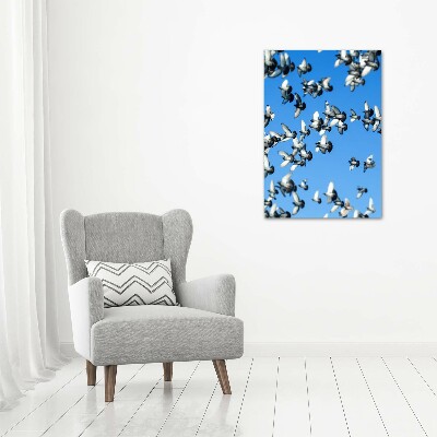 Quadro vetro acrilico verticale Piccioni nel cielo