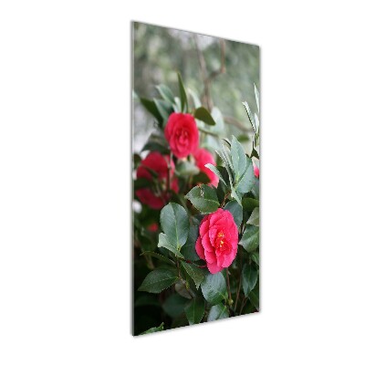 Quadro acrilico verticale Camelia