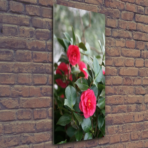 Quadro acrilico verticale Camelia