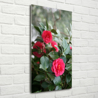 Quadro acrilico verticale Camelia