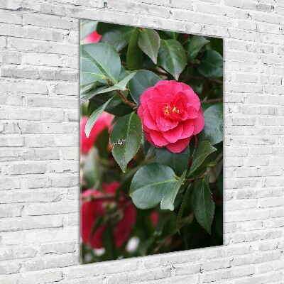 Quadro acrilico verticale Camelia