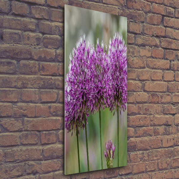 Quadro vetro acrilico verticale Fiori d'aglio