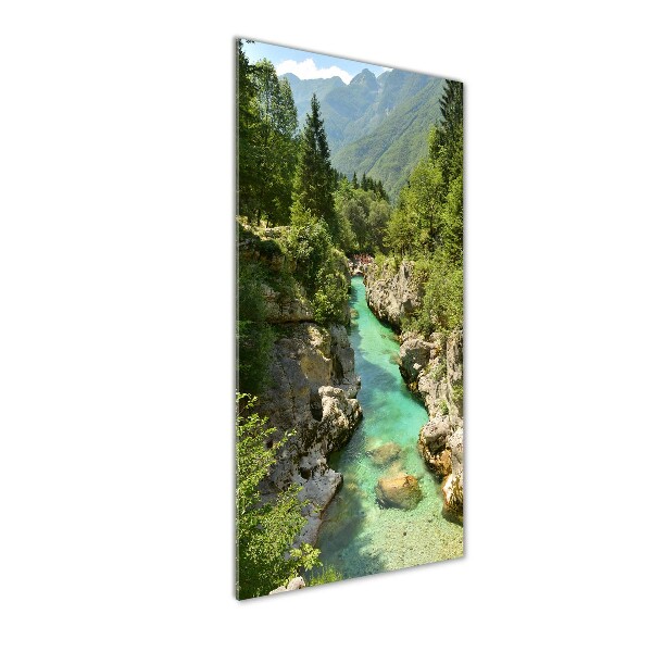 Quadro in vetro acrilico verticale Torrente di montagna