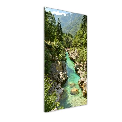 Quadro in vetro acrilico verticale Torrente di montagna