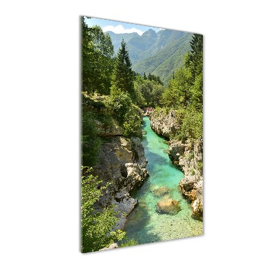 Quadro in vetro acrilico verticale Torrente di montagna