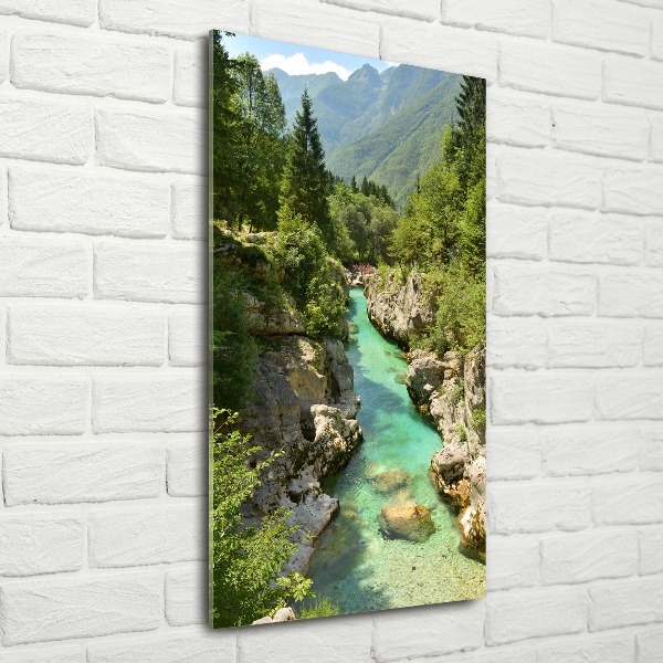 Quadro in vetro acrilico verticale Torrente di montagna
