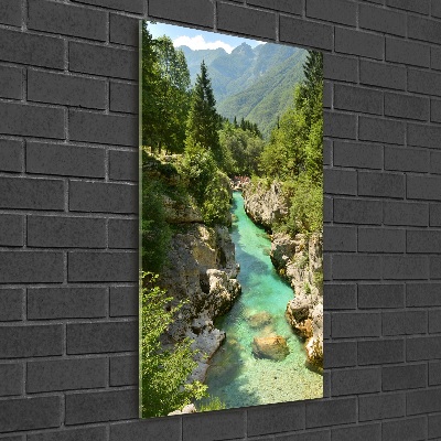 Quadro in vetro acrilico verticale Torrente di montagna
