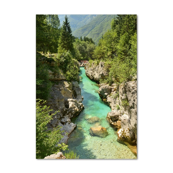 Quadro in vetro acrilico verticale Torrente di montagna