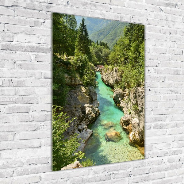 Quadro in vetro acrilico verticale Torrente di montagna