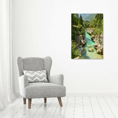 Quadro in vetro acrilico verticale Torrente di montagna