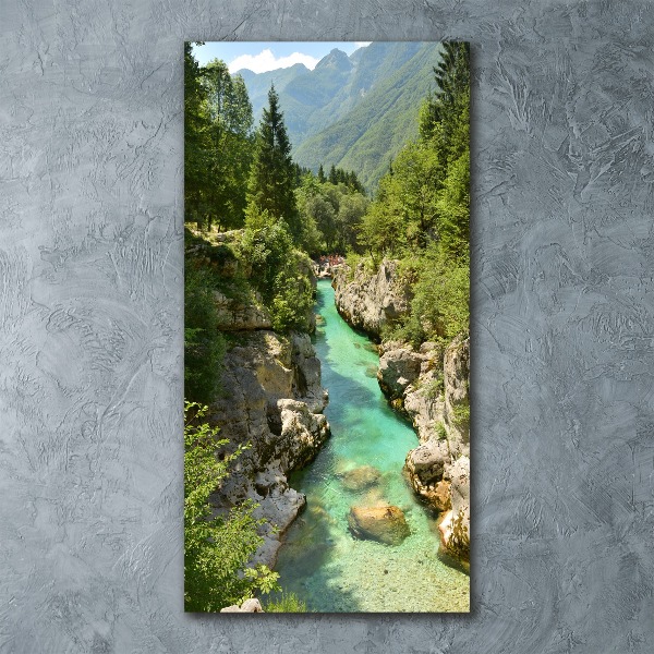 Quadro in vetro acrilico verticale Torrente di montagna