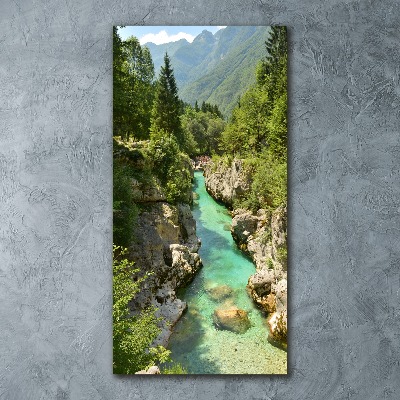 Quadro in vetro acrilico verticale Torrente di montagna