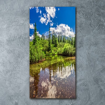 Quadro acrilico verticale Lago tra le montagne