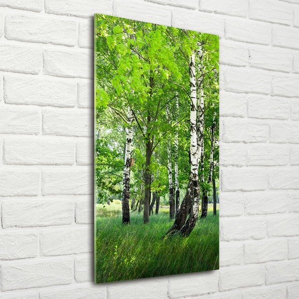 Quadro acrilico verticale Foresta di betulle