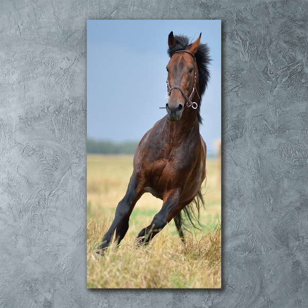 Quadro acrilico verticale Un cavallo in un campo
