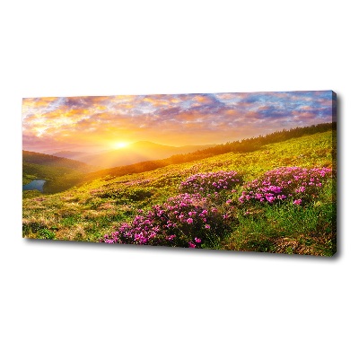 Quadro stampa su tela Tramonto sulle montagne