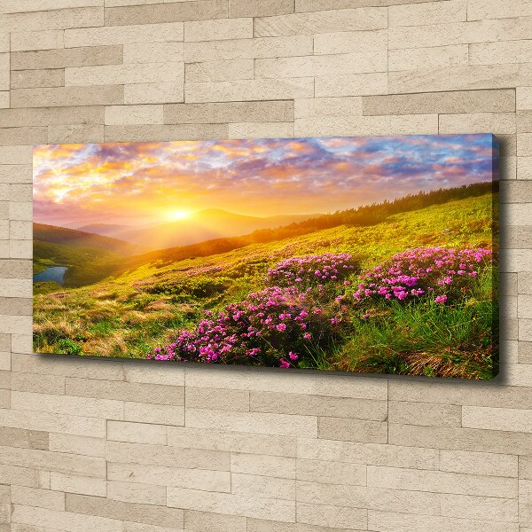 Quadro stampa su tela Tramonto sulle montagne