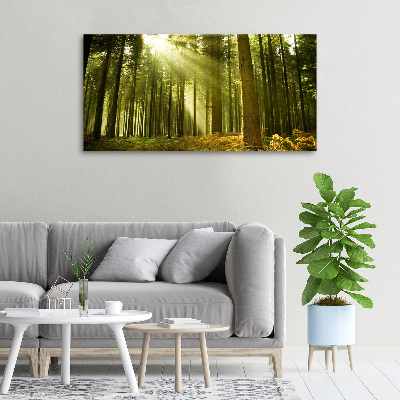 Foto quadro su tela Pineta