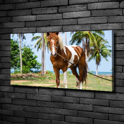 Quadro su tela Cavallo maculato