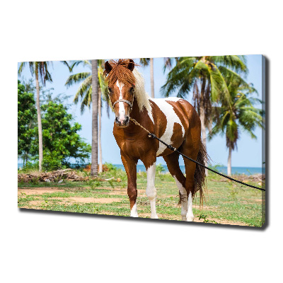 Quadro su tela Cavallo maculato