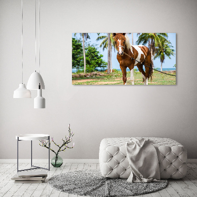 Quadro su tela Cavallo maculato