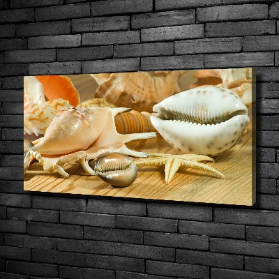 Foto quadro su tela Conchiglie su legno