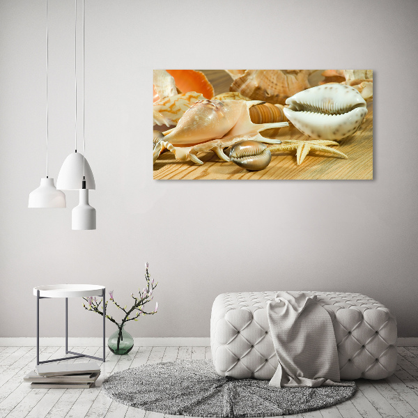 Foto quadro su tela Conchiglie su legno