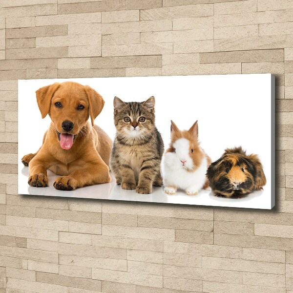 Quadro stampa su tela Cane e gatto